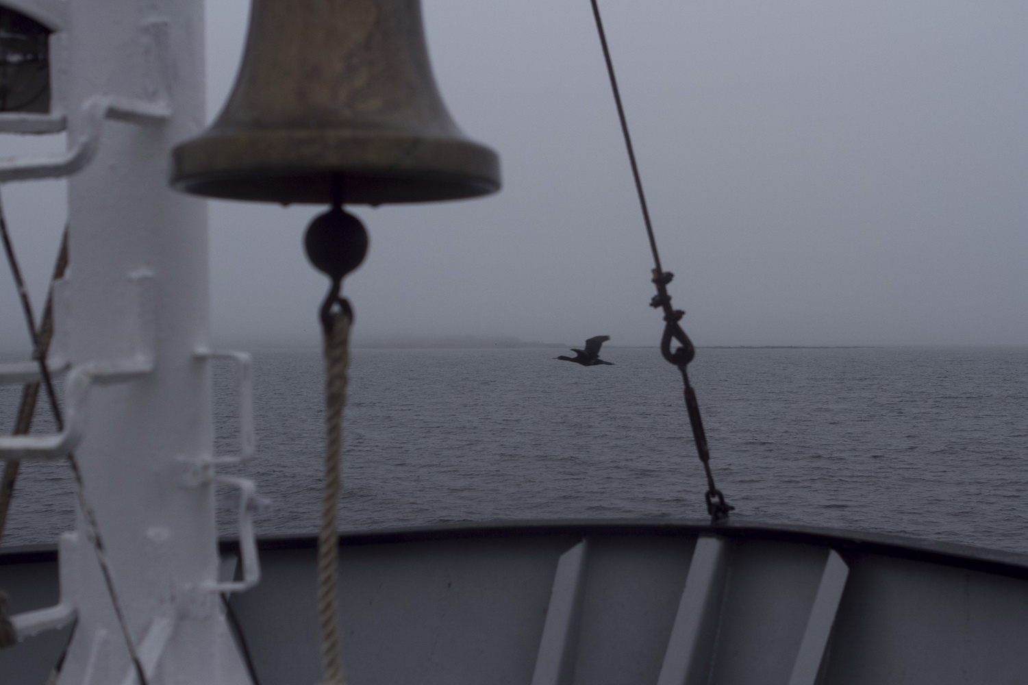 Coming to the Commander Islands. View from Vasili Zavoiko motor ship. Photo by Maria Bondar